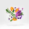 dama_bianca_body_cream_3_aTe7RBf6fB.webp